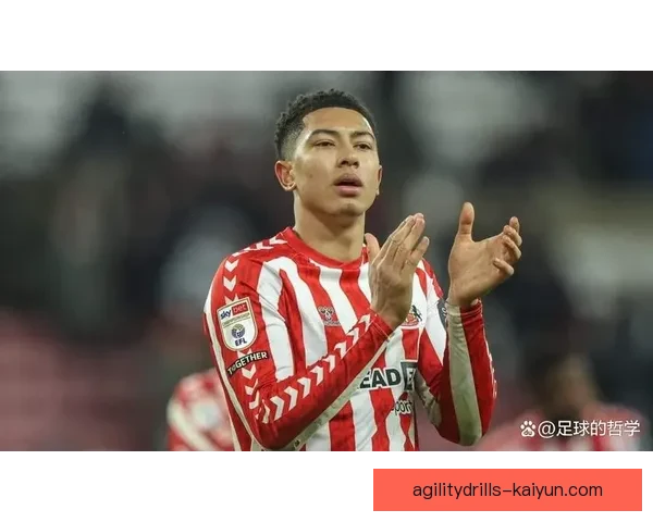 桑德兰新援名单更新，球队竞争力增强，备受期待表现将迎来新篇章。